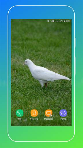 Pigeon Wallpaper screenshot 13