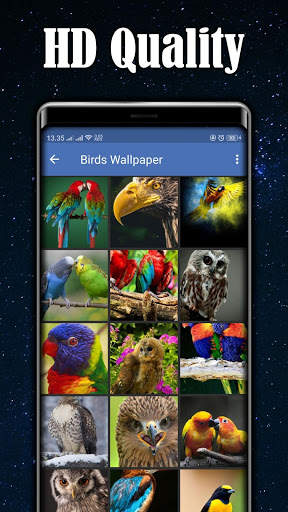 Birds Wallpaper स्क्रीनशॉट 5