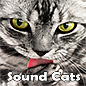 Cat Sounds icon