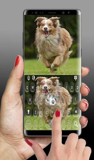 Shepherd Dog Keyboard screenshot 6