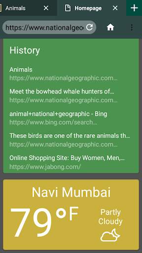 Light Indian Browser screenshot 7