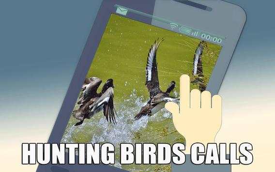 Hunting Bird Calls screenshot 2