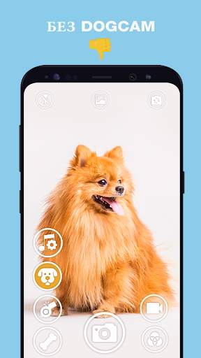 DogCam - Dog Selfie Filters and Camera скриншот 3