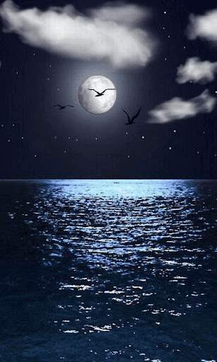 Moonlight HD Wallpapers-Moon Wallpaper Background screenshot 2