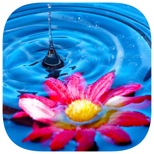 153 Photo Crosswords icon
