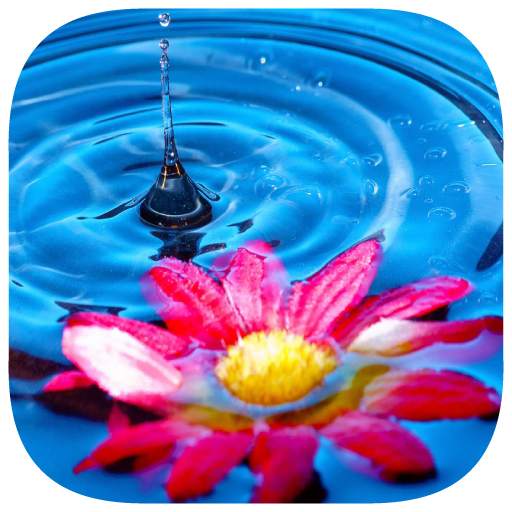 153 Photo Crosswords 1.0.1