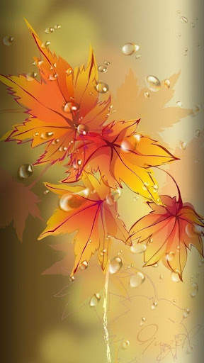 Drop Water Video Live Wallpaper screenshot 7