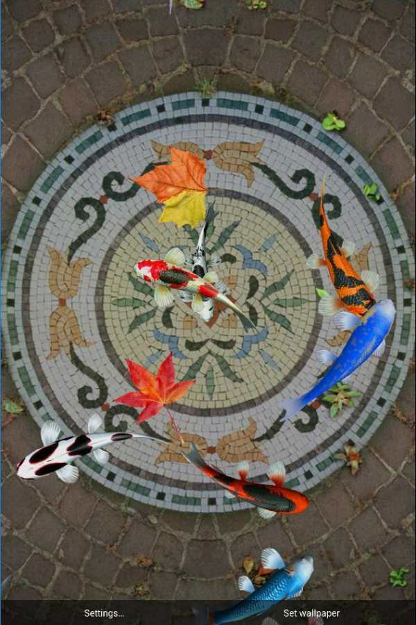 Koi Special Free Live Wallpaper screenshot 2