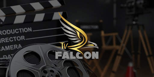 Falcon Player screenshot 2