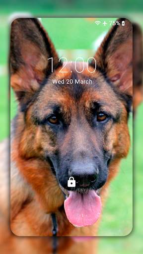 German Shepherd Wallpapers  (backgrounds & themes) screenshot 5