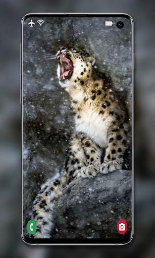 Snow Leopard Wallpaper screenshot 8