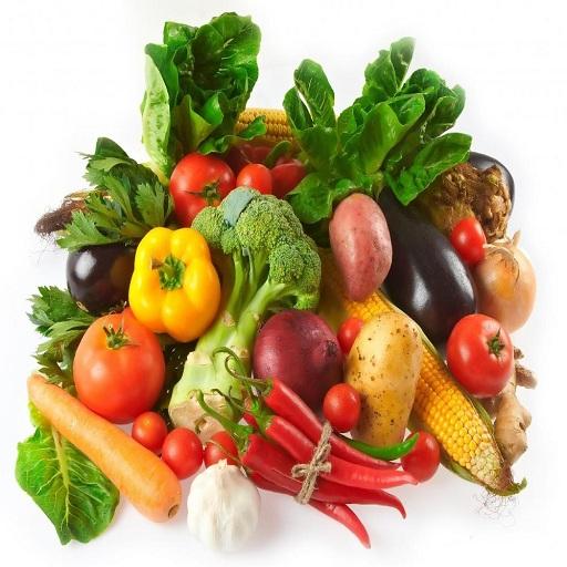 Grocery Mini Mart icon