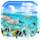 Caribe Island Ocean Tropic icon