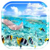 Caribe Island Ocean Tropic 1.0