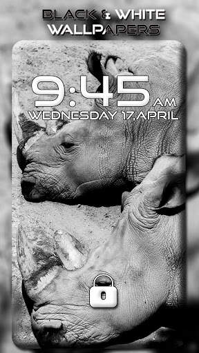 Black and White Wallpapers screenshot 3
