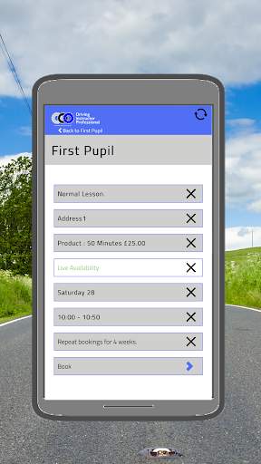 Driving Instructor Professional screenshot 4