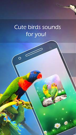 Bird Sounds and Ringtones screenshot 1
