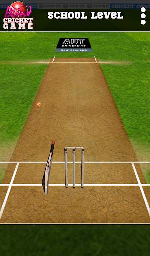 Blind Cricket screenshot 7
