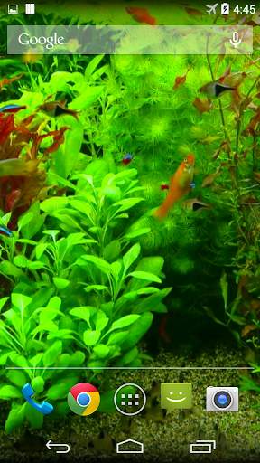 Real Aquarium 3D Wallpaper screenshot 5