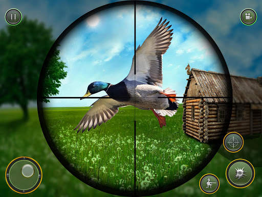 Duck hunting season 2020: Bird Shooting Games 3D screenshot 5