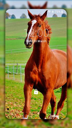 Horse Wallpaper HD: Themes screenshot 3