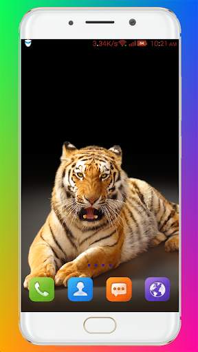 Tiger Wallpaper HD screenshot 6