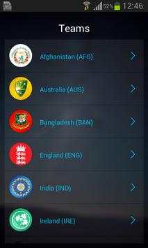 NotOut Cricket World Cup 2015 screenshot 5