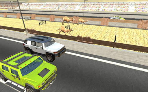 Camel Race Dubai Camel Simulator screenshot 3
