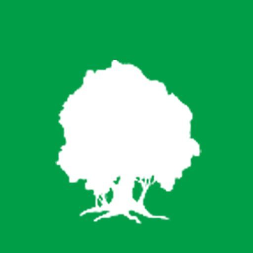 My forest icon