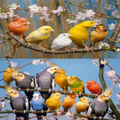 Canary Bird Sounds icon