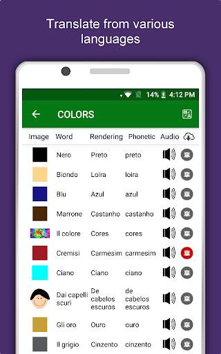 Brazil Travel & Explore, Offline Tourist Guide screenshot 15