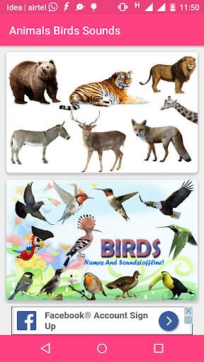 Animals and Birds Sounds screenshot 1