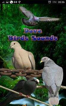 Dove Birds Sounds screenshot 1