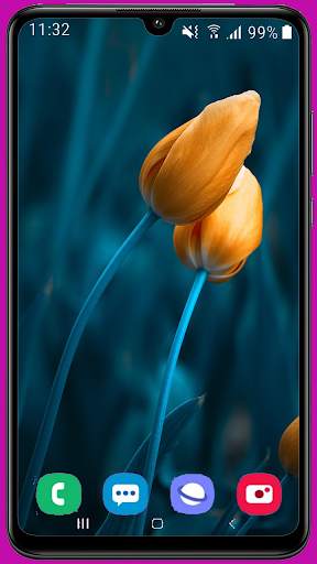 Tulips Wallpaper Best HD screenshot 16