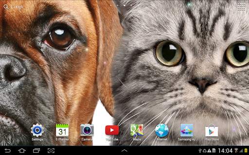 Cat Live Wallpaper screenshot 11