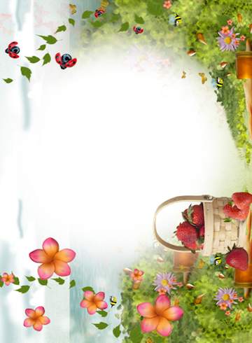 Summer Photo Frames screenshot 4