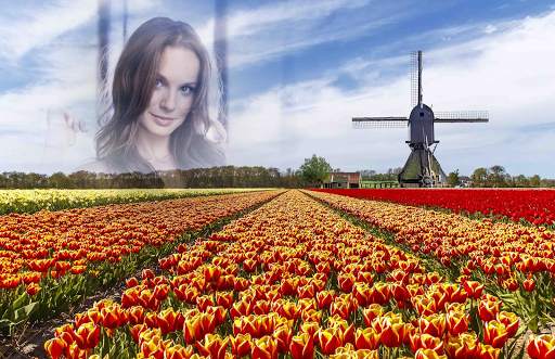 Sea of Flowers Photo Frames screenshot 5