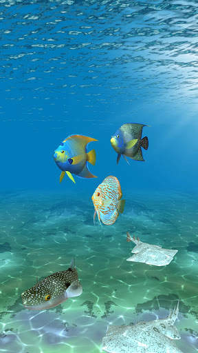Ocean Fish Under Water Live Wallpaper screenshot 8