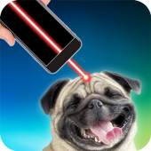 Laser pointer for playing with dog 1.0