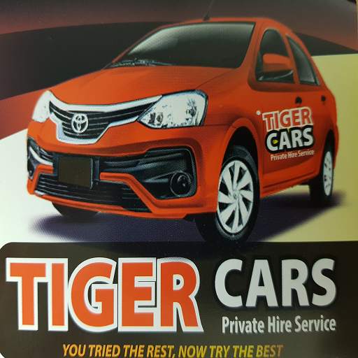 Tiger Taxis - Jo Baxis 31.13.13.156