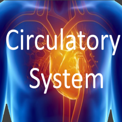 Cardiovascular system anatomy icon