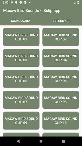 Macaw Bird Sound Collections ~ Sclip.app screenshot 1