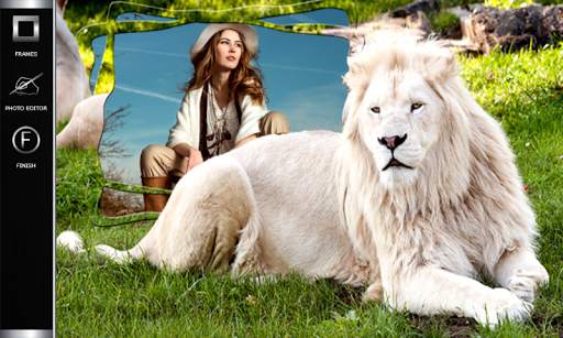 Lion Photo Frames screenshot 4