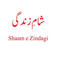 Shaam e ZIndagi icon