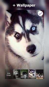 Siberian Husky Lock Screen screenshot 5