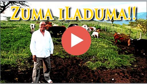 Zuma iLaduma!! screenshot 1