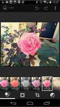 Gallery Pro screenshot 7