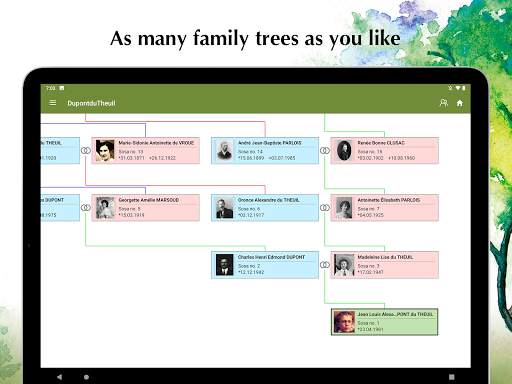 Family Tree Explorer Viewer – for the PC software screenshot 13