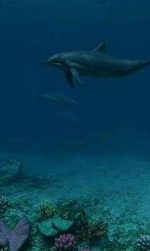 Dolphins live wallpaper screenshot 1