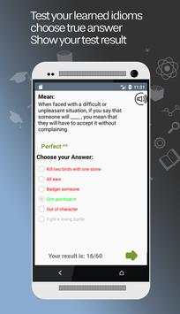 idiomatic expressions screenshot 5